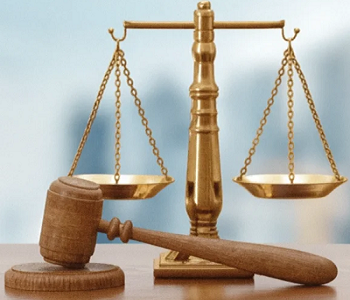 Professional lawyers assisting clients